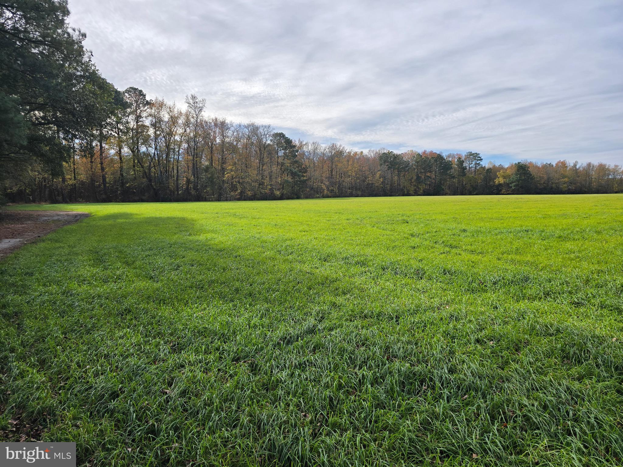 0 Richardson Road Willards, MD 21874 - Photo 12 of 31