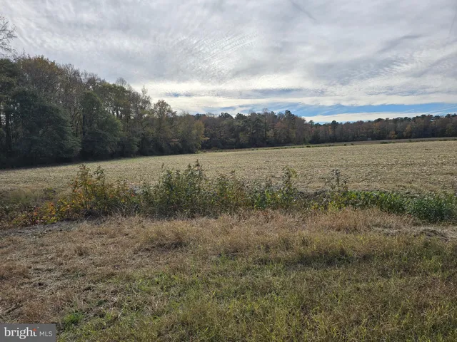 a view of an outdoor space and a yard