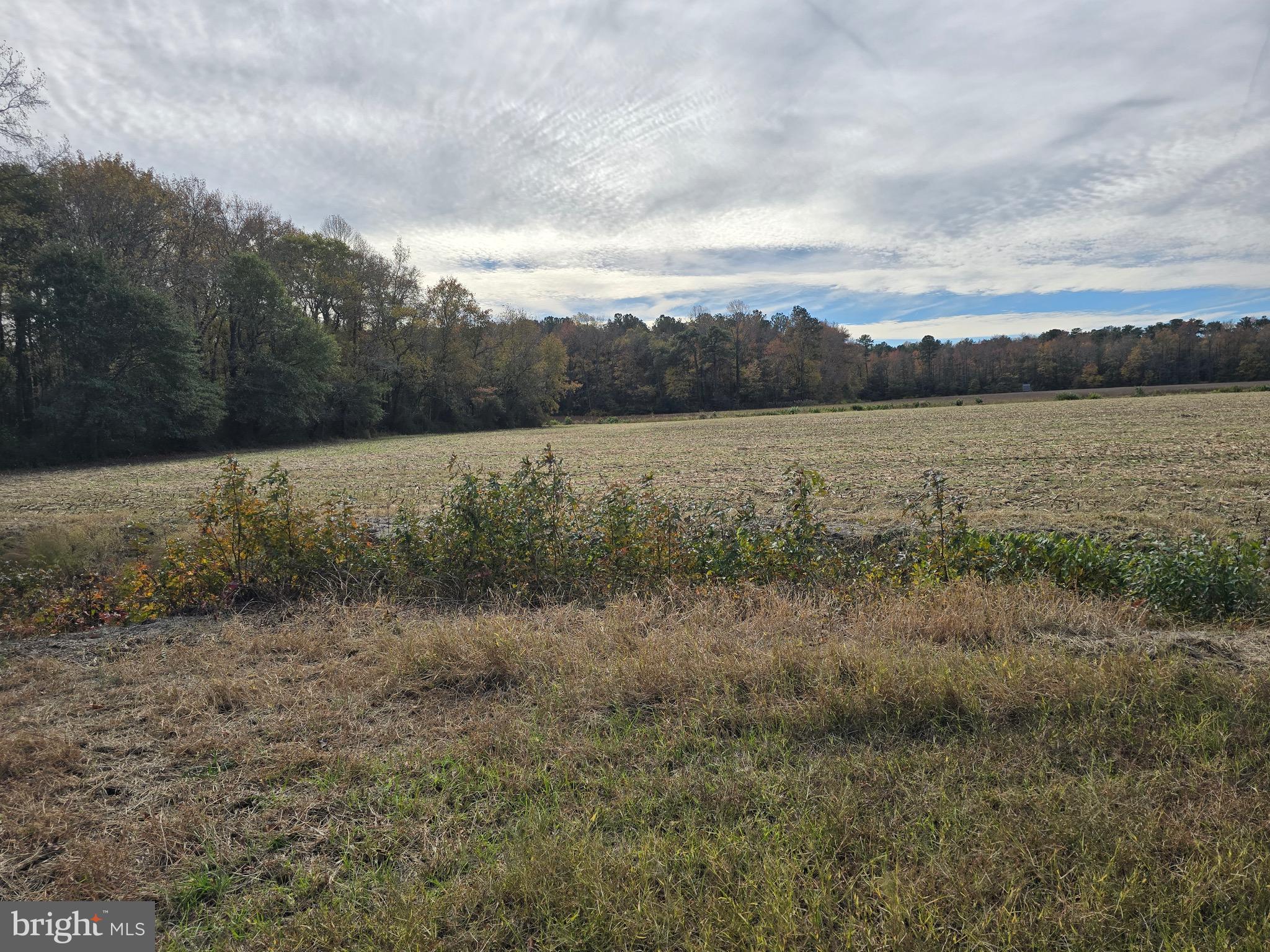 0 Richardson Road Willards, MD 21874 - Photo 17 of 31 a view of a lake with mountain in the back