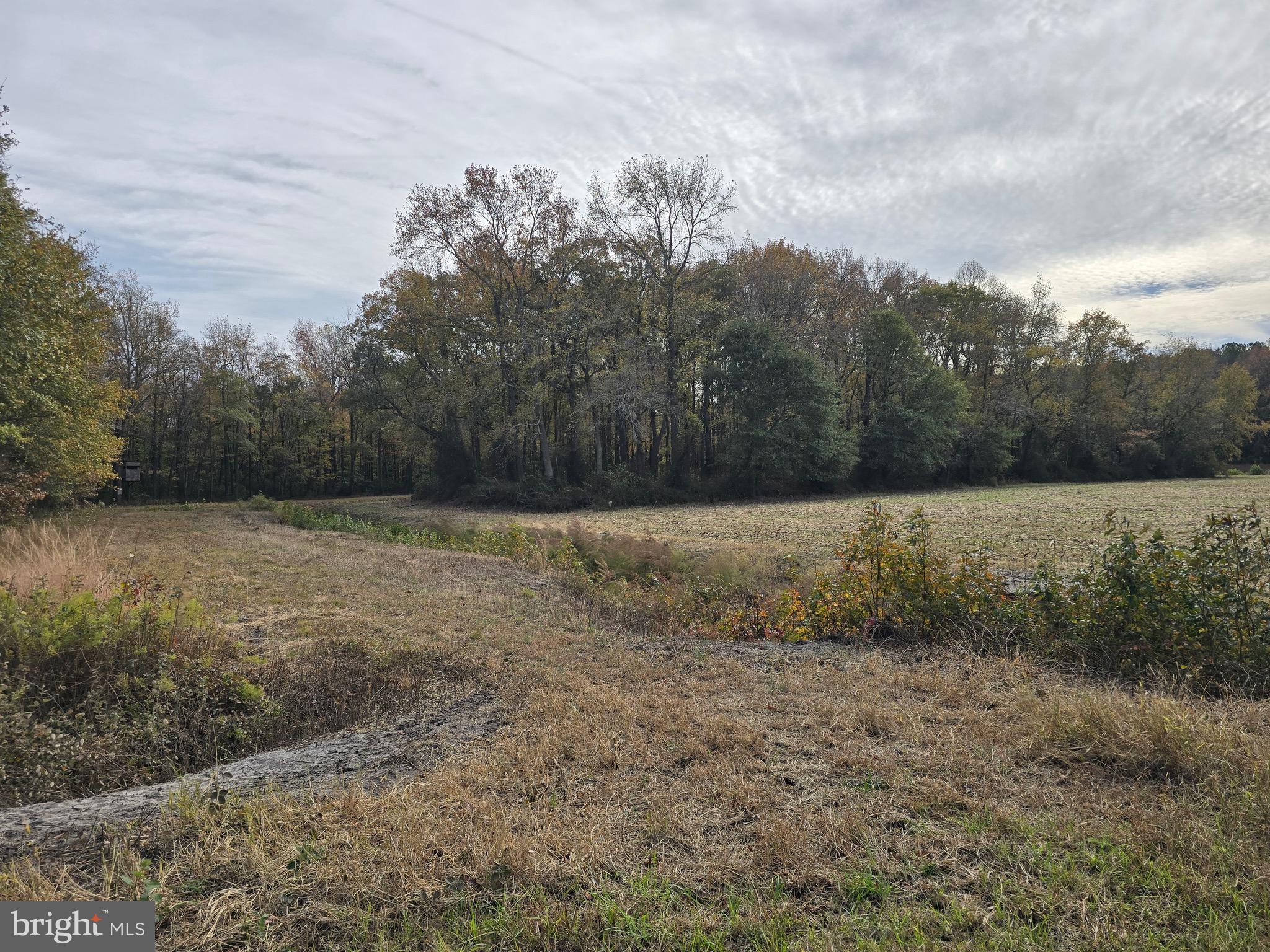 0 Richardson Road Willards, MD 21874 - Photo 18 of 31 a view of a field with trees in background