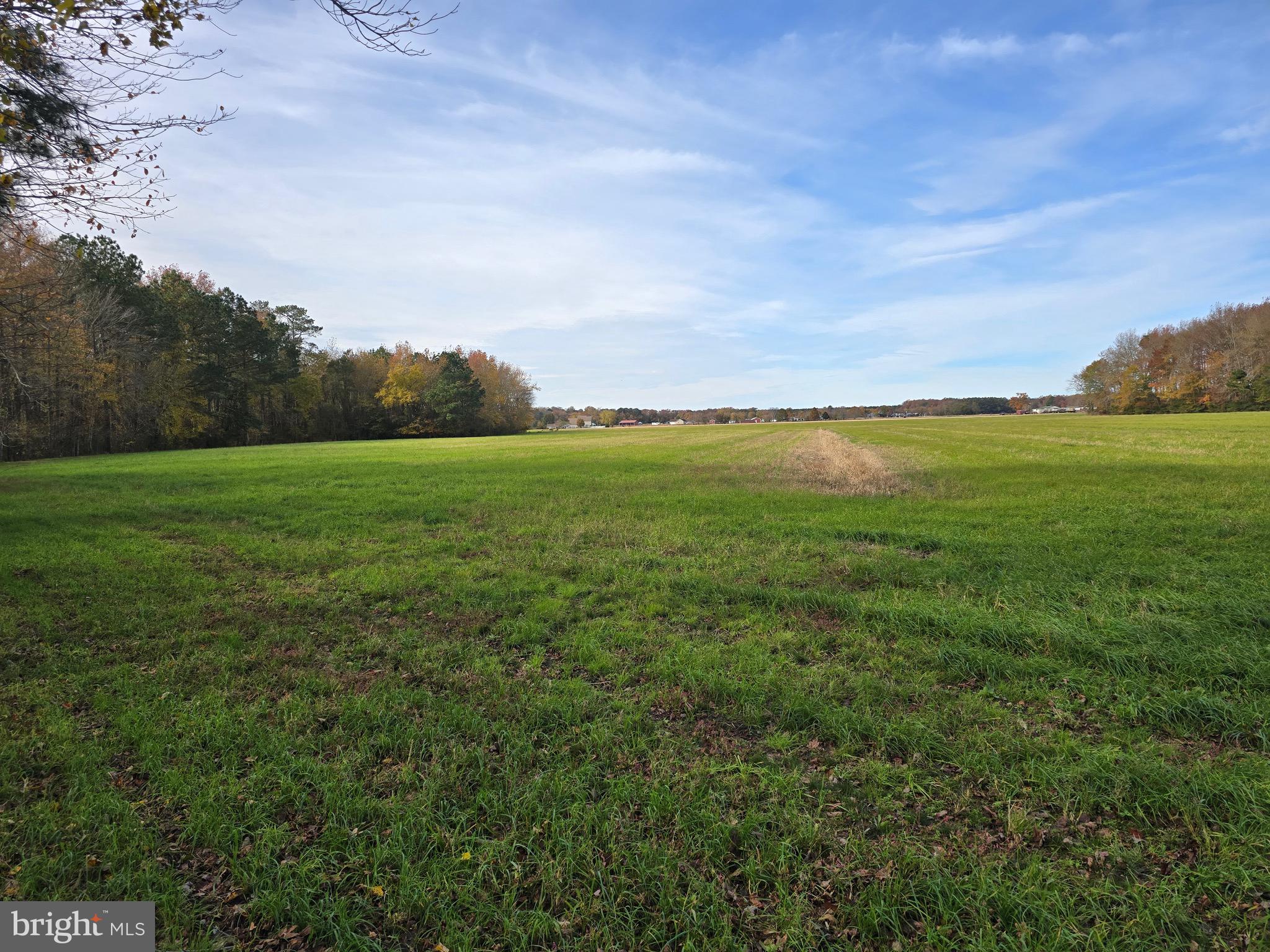 0 Richardson Road Willards, MD 21874 - Photo 19 of 31 a view of an outdoor space and a yard