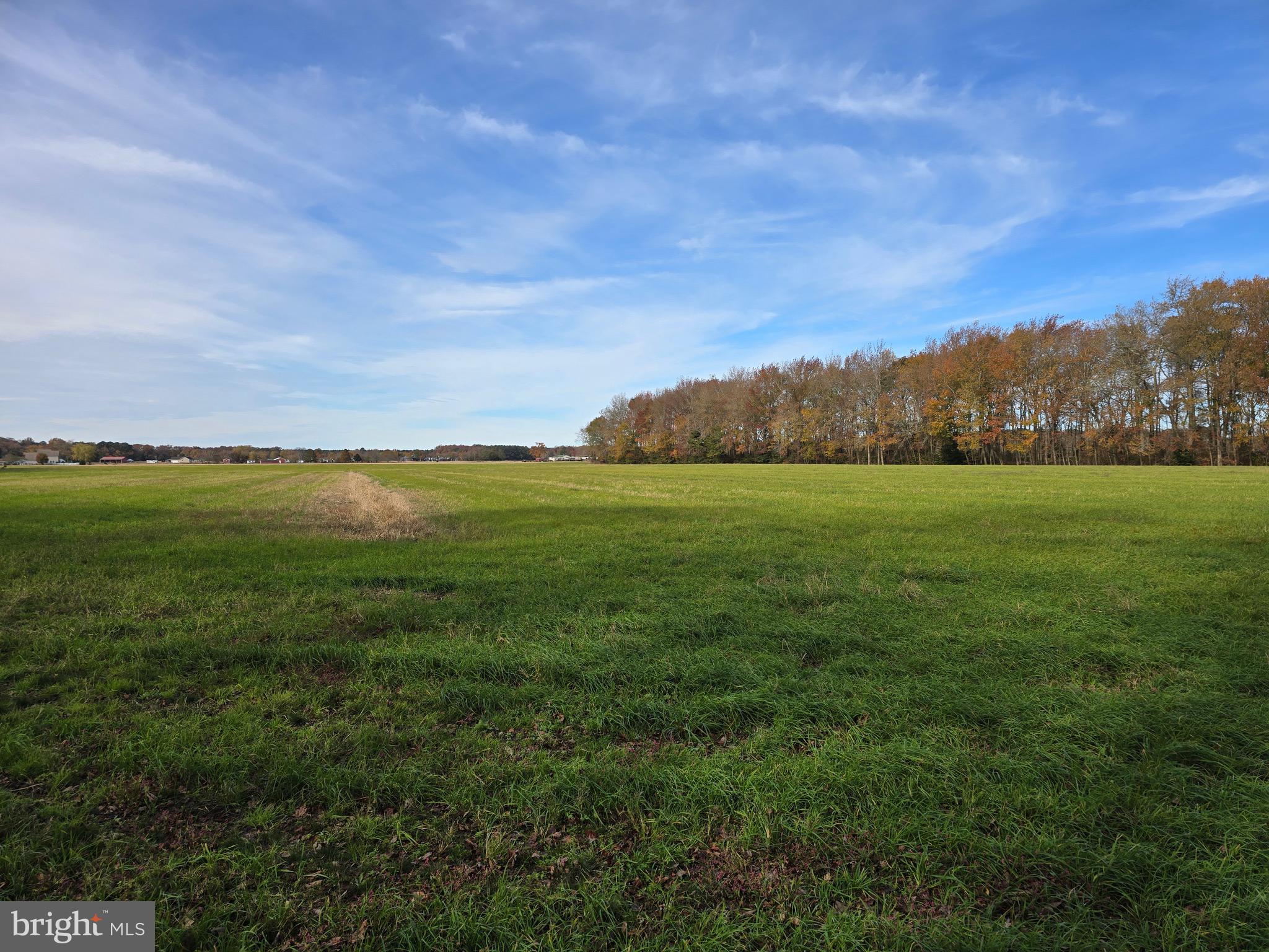 0 Richardson Road Willards, MD 21874 - Photo 20 of 31 a view of an ocean
