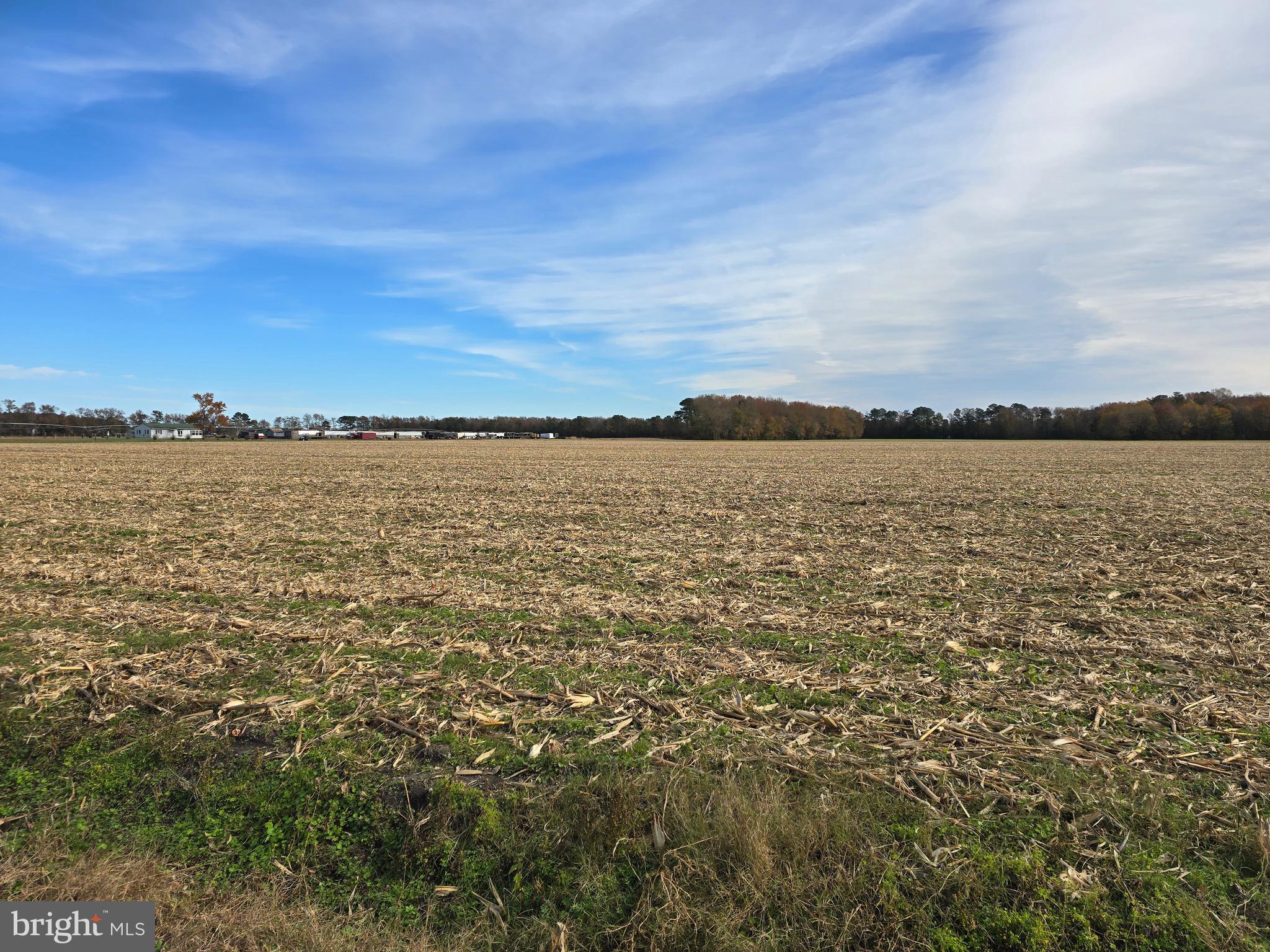 0 Richardson Road Willards, MD 21874 - Photo 2 of 31 a view of an ocean