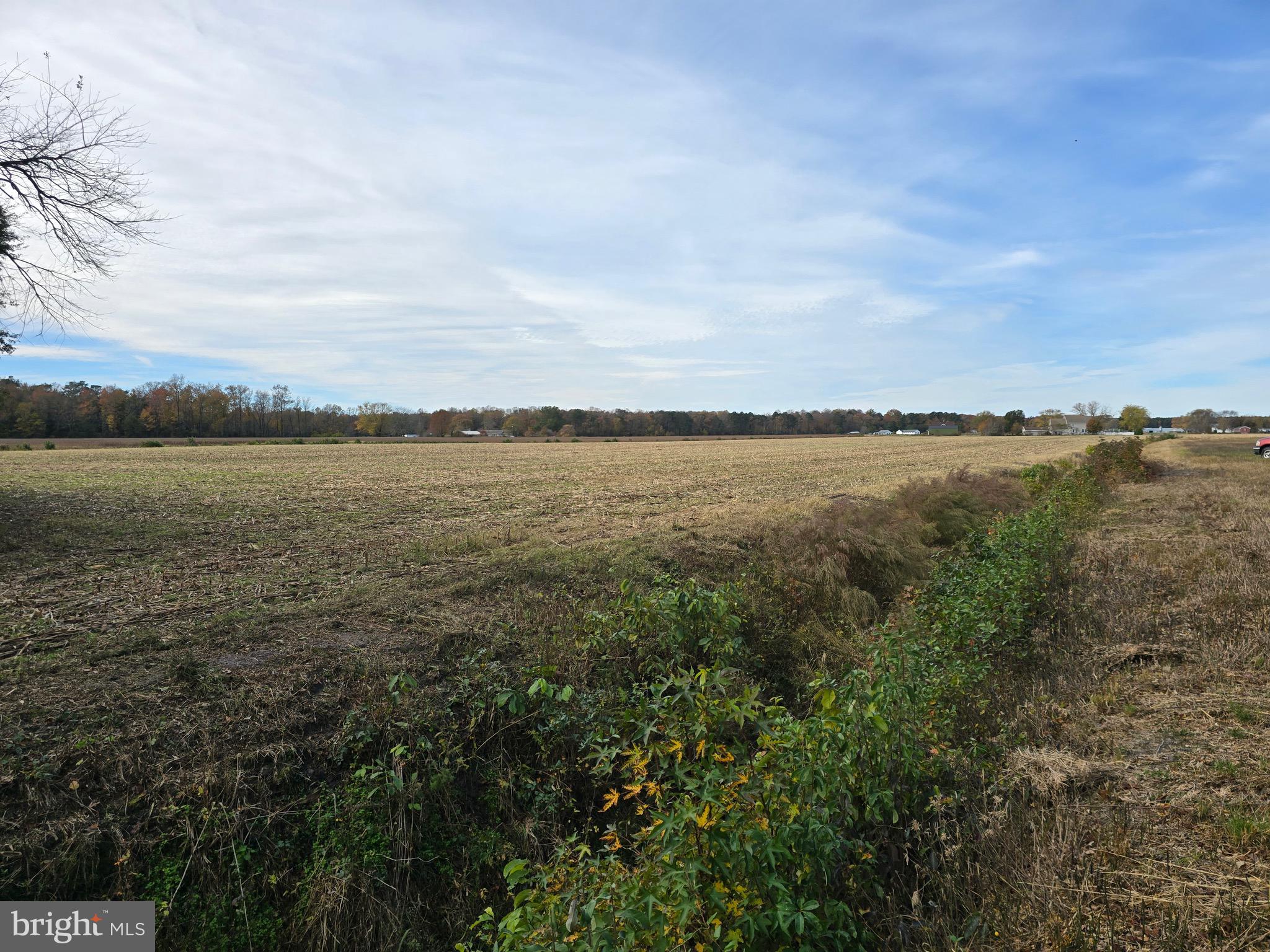 0 Richardson Road Willards, MD 21874 - Photo 22 of 31