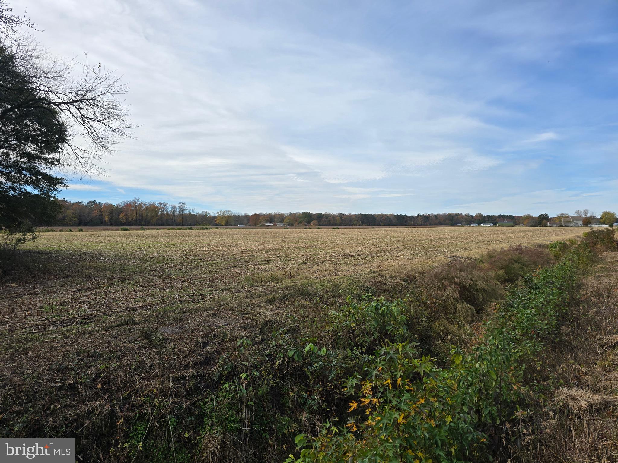 0 Richardson Road Willards, MD 21874 - Photo 23 of 31 a view of an ocean