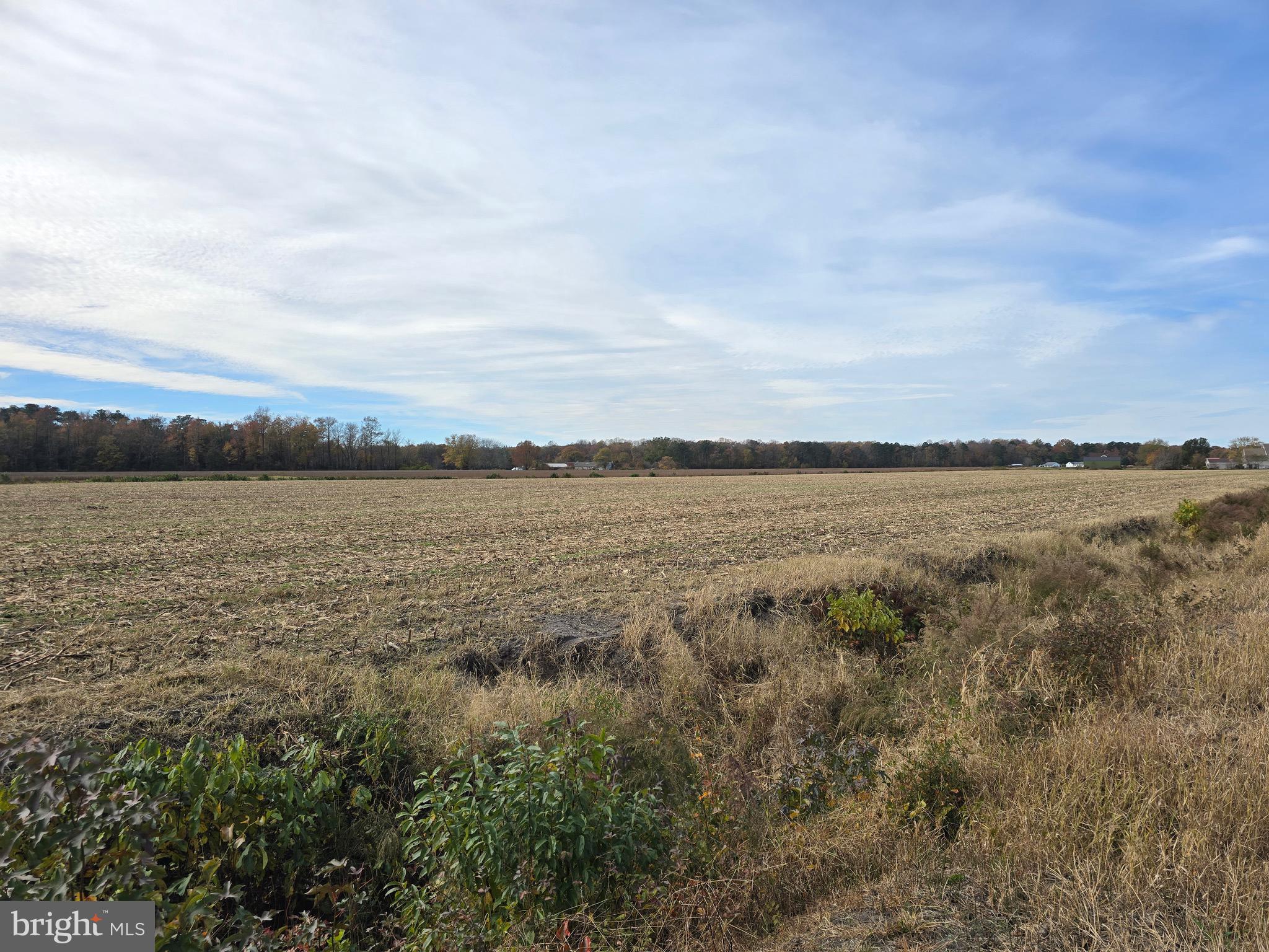 0 Richardson Road Willards, MD 21874 - Photo 25 of 31 a view of a lake with houses in the back