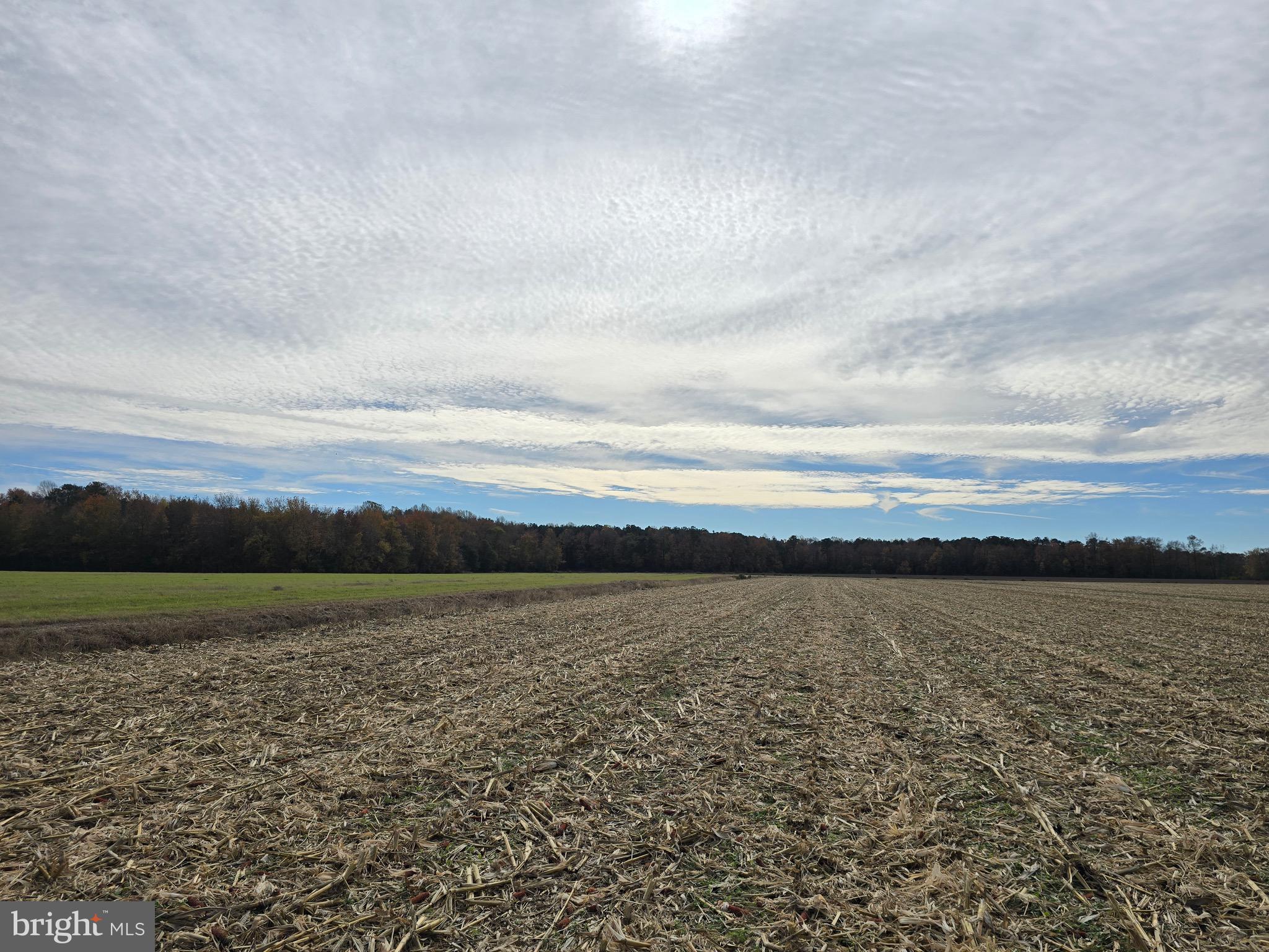 0 Richardson Road Willards, MD 21874 - Photo 30 of 31 a view of an ocean beach and mountain