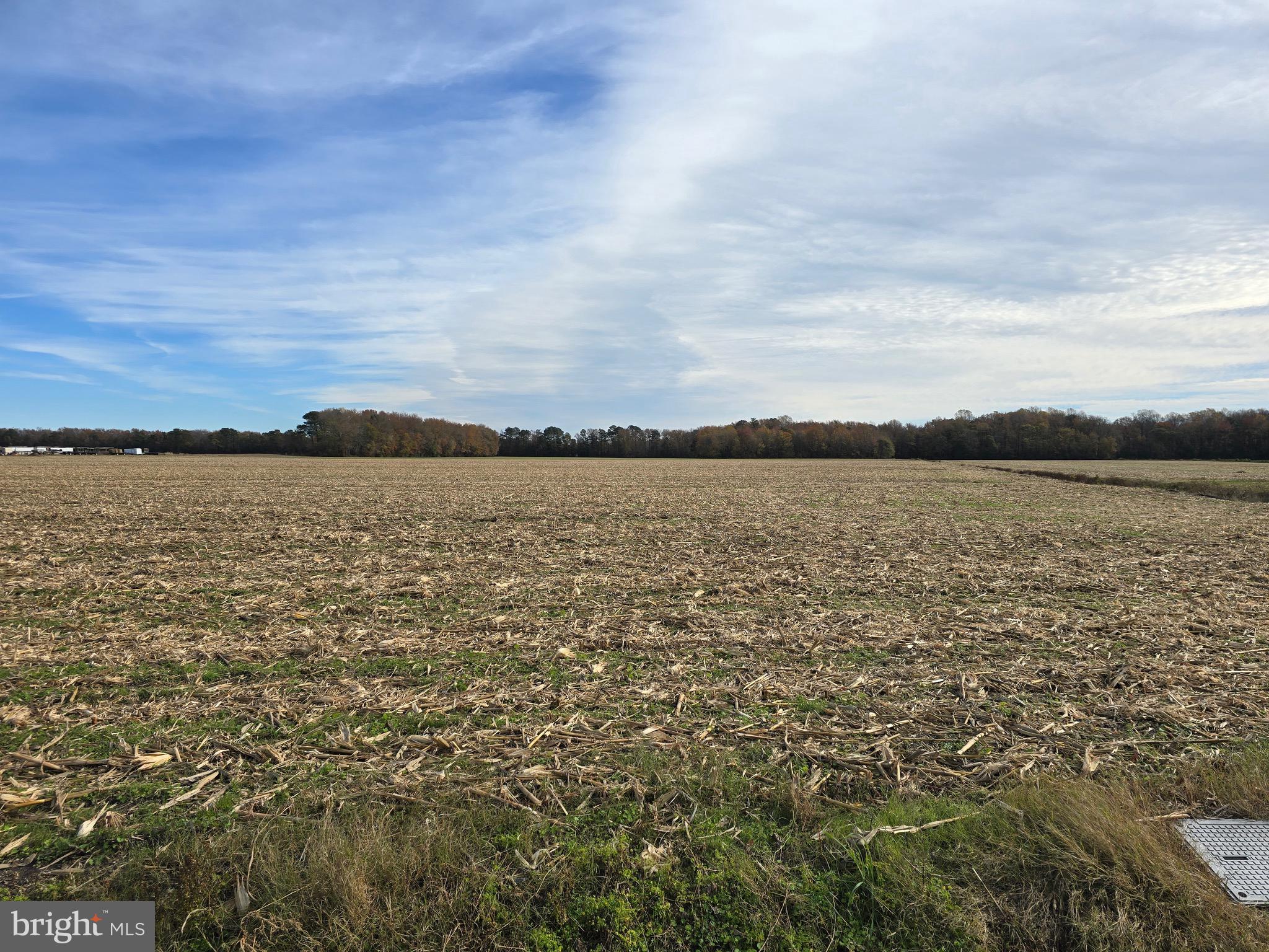 0 Richardson Road Willards, MD 21874 - Photo 3 of 31 a view of an ocean