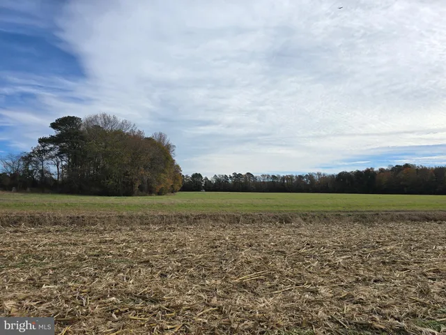 $699,000 | 0 Richardson Road, Willards, MD 21874