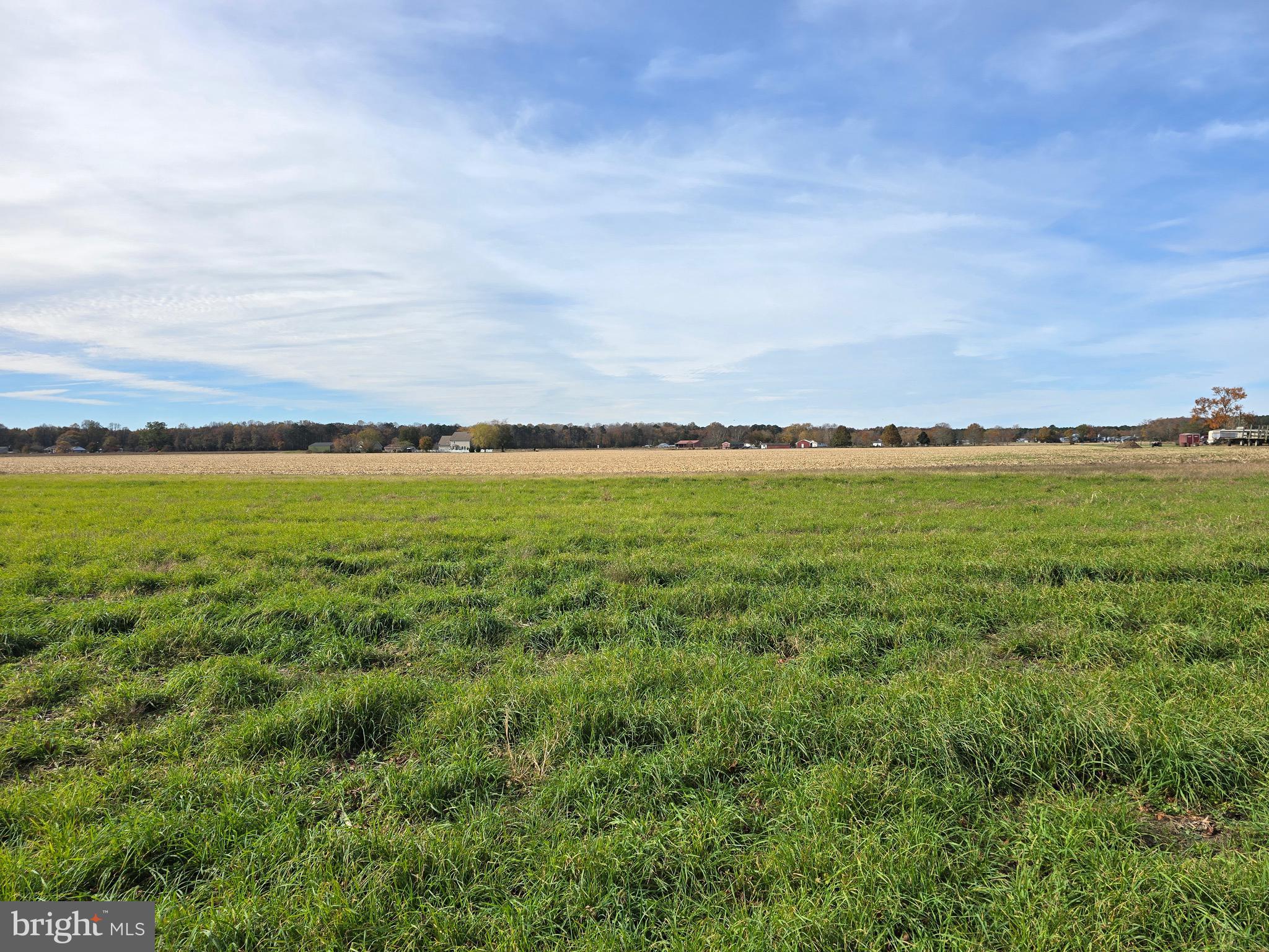 0 Richardson Road Willards, MD 21874 - Photo 6 of 31 a view of an ocean
