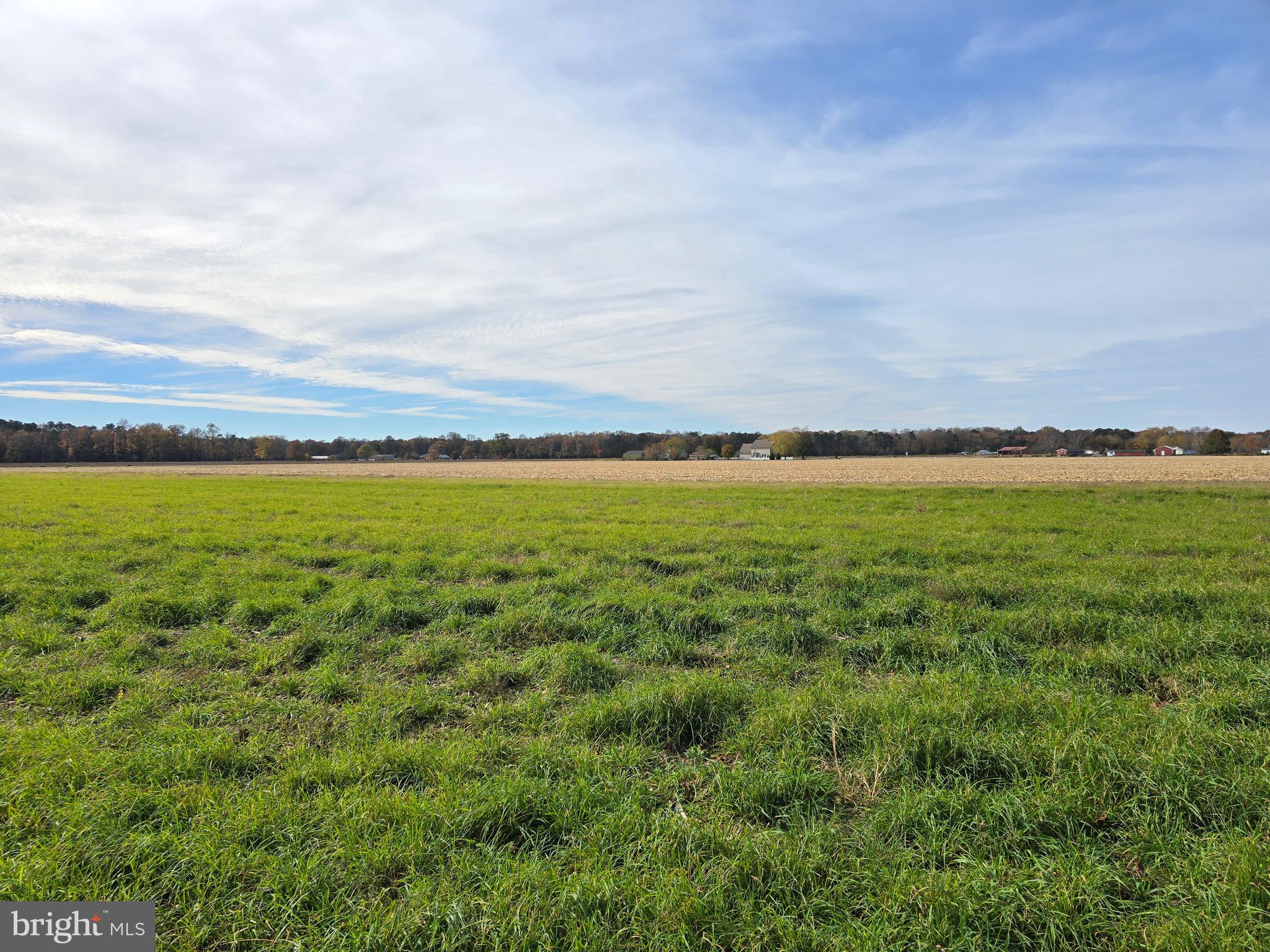 0 Richardson Road Willards, MD 21874 - Photo 7 of 31 a view of an ocean