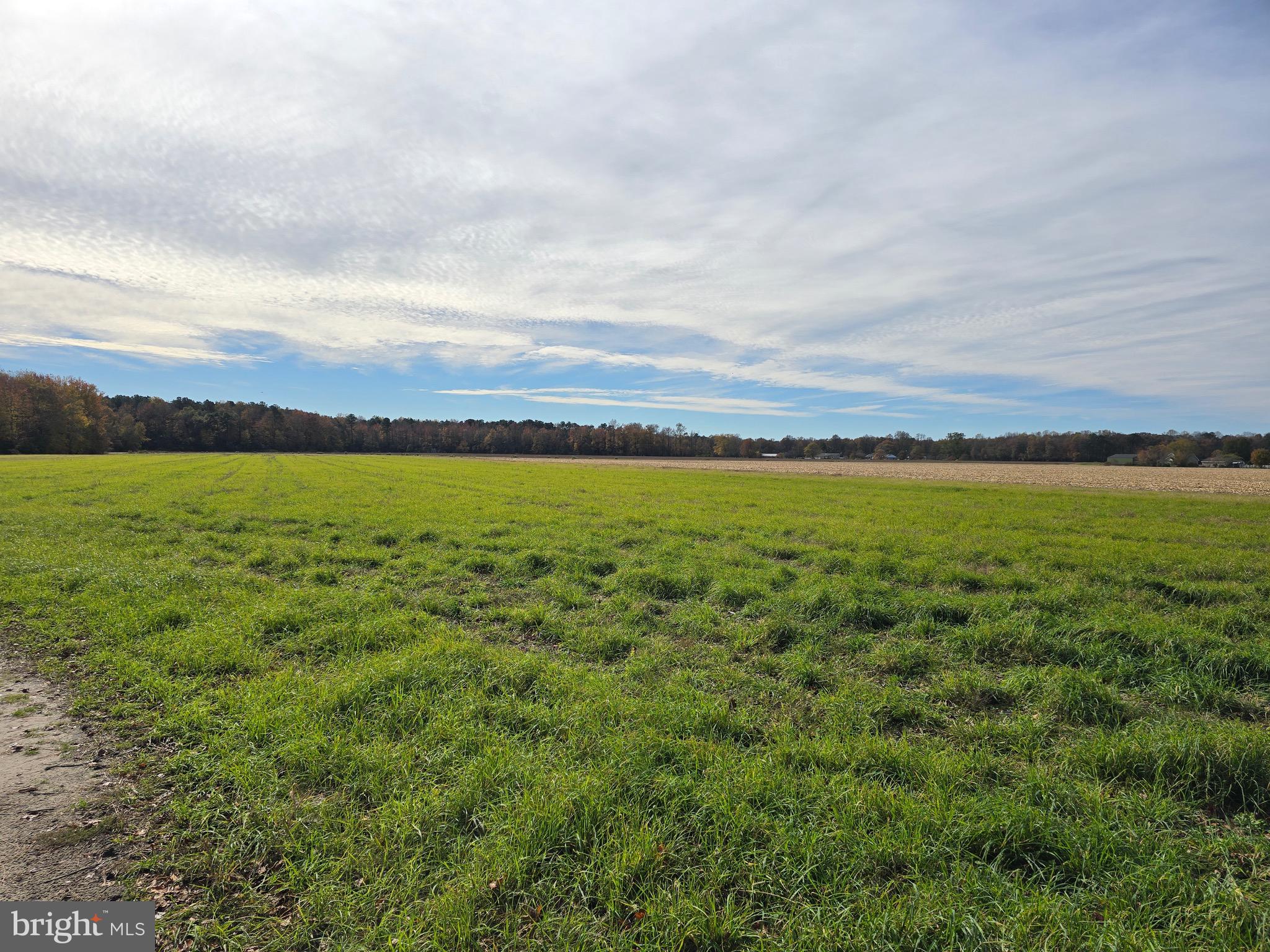 0 Richardson Road Willards, MD 21874 - Photo 8 of 31 a view of an ocean