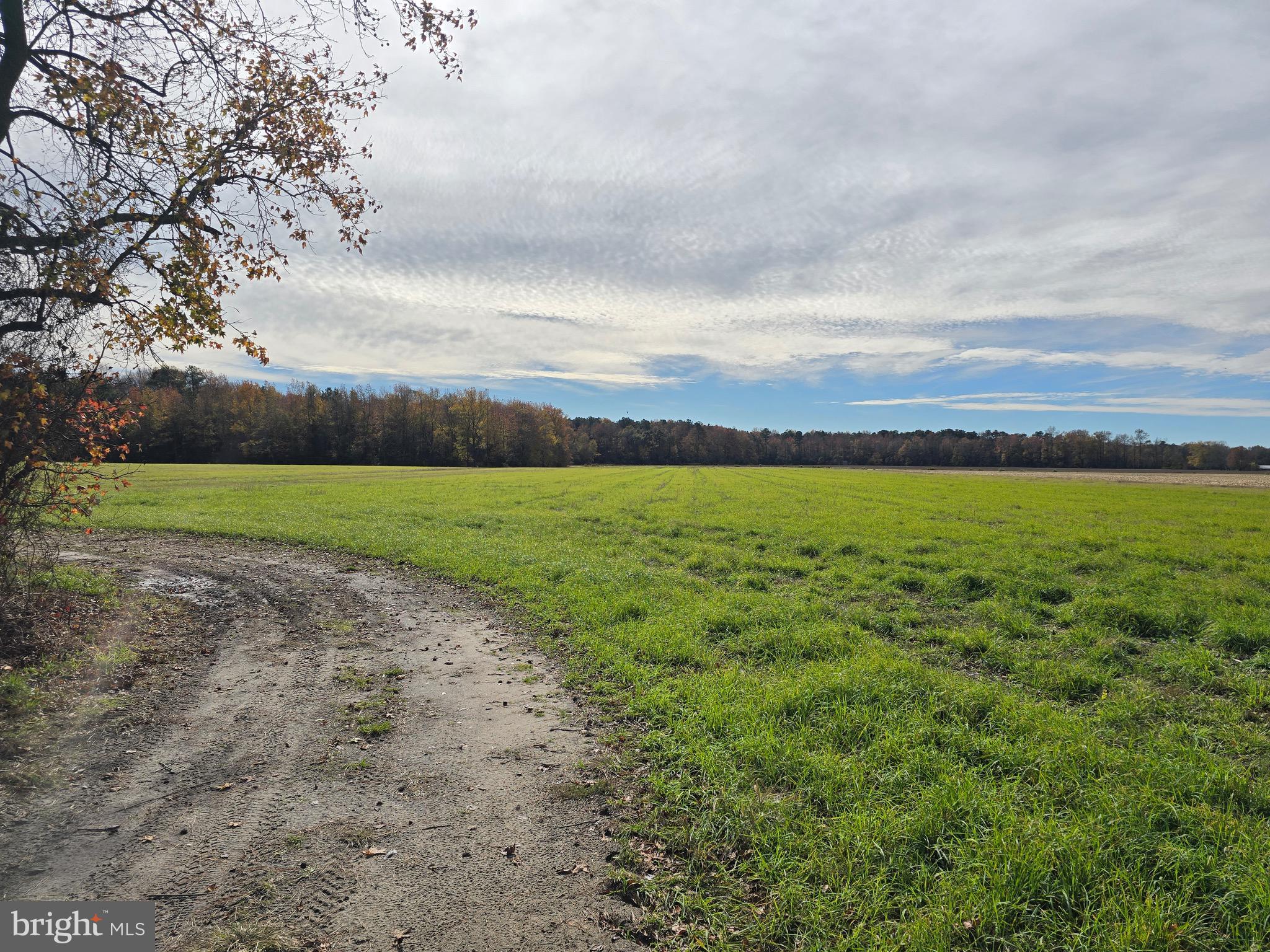 0 Richardson Road Willards, MD 21874 - Photo 9 of 31 a view of a field with an ocean