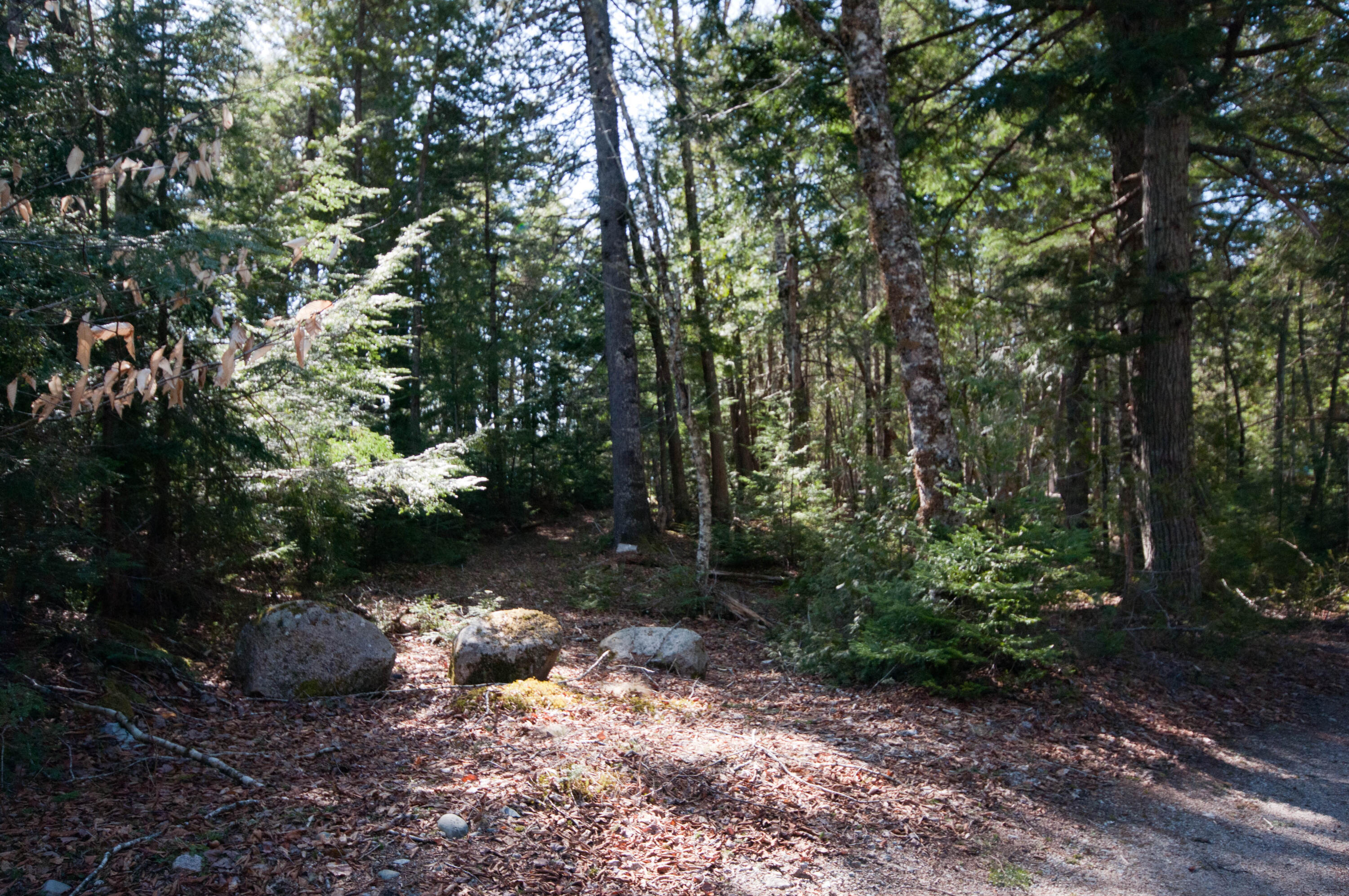98 Beavers Road Sullivan, ME 04664 - Photo 18 of 22 untitled-1-4