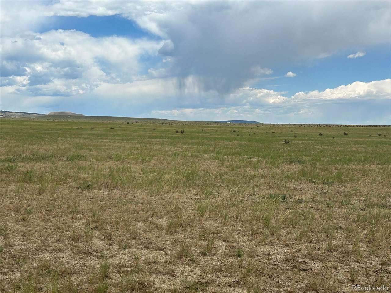53 Colorado Buffalo Ranch Rye, CO 81069 - Photo 5 of 10