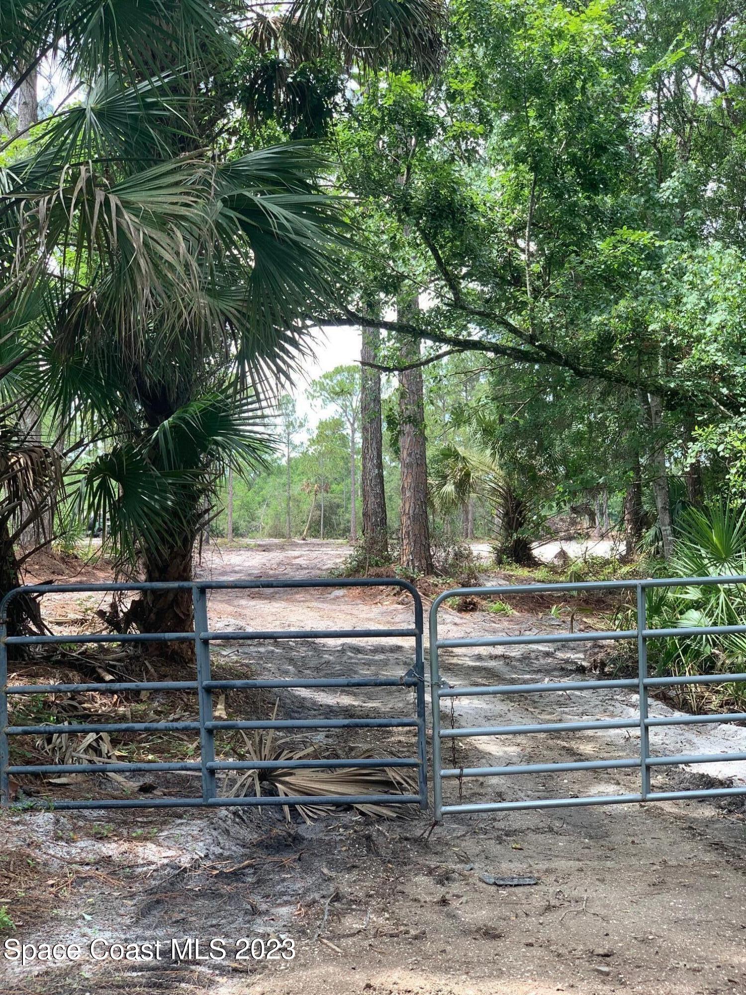 a view of backyard with trampoline