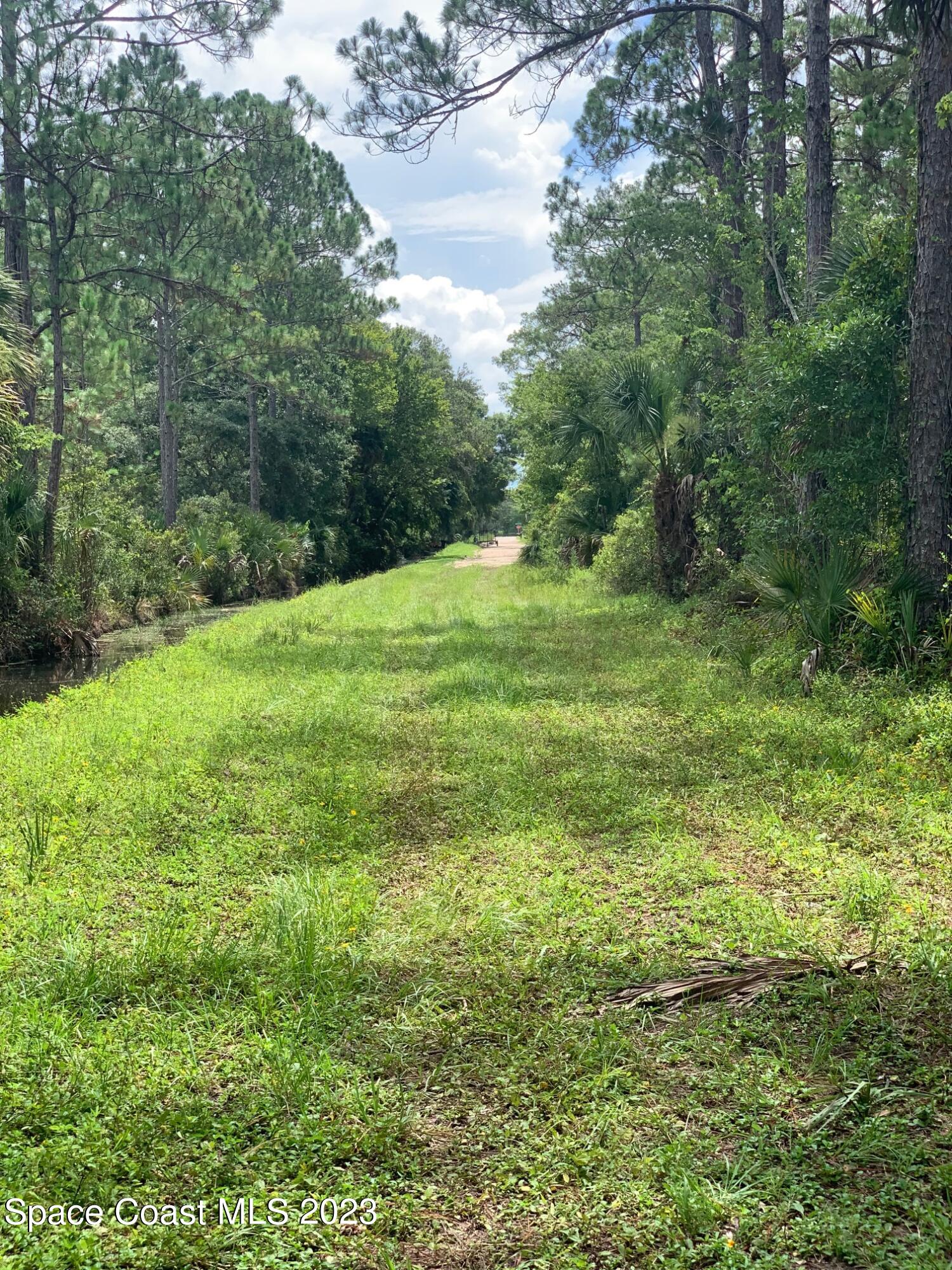 0 Unknown Street Mims, FL 32754 - Photo 2 of 10 a big yard with lots of green space and deers