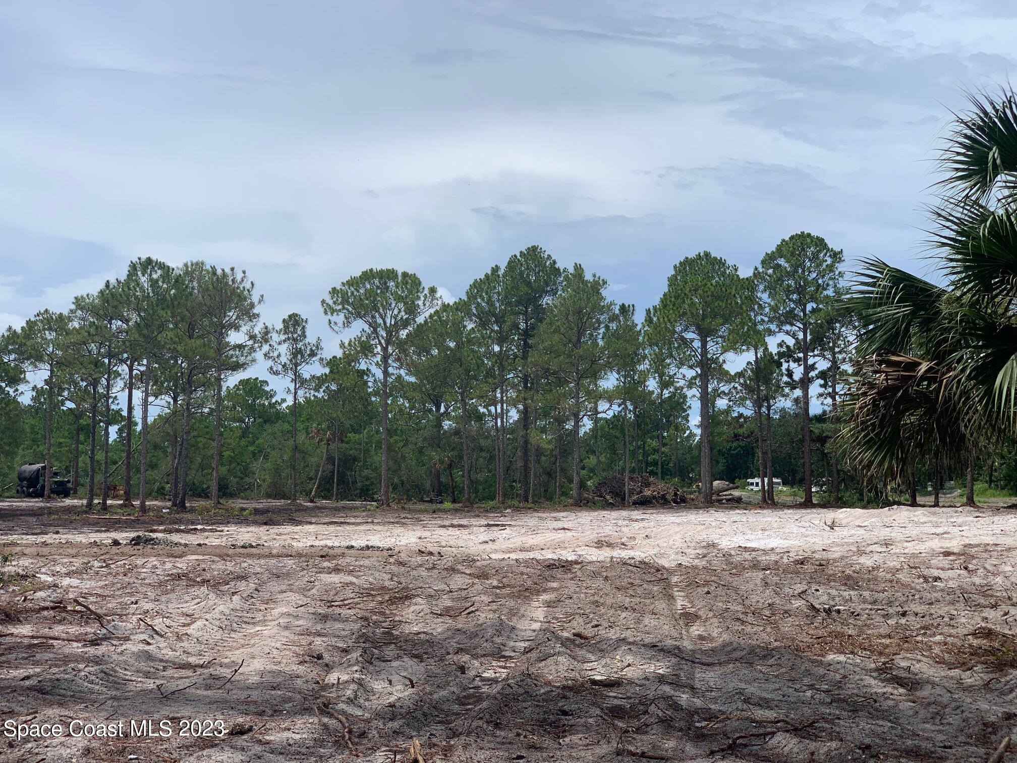 0 Unknown Street Mims, FL 32754 - Photo 3 of 10