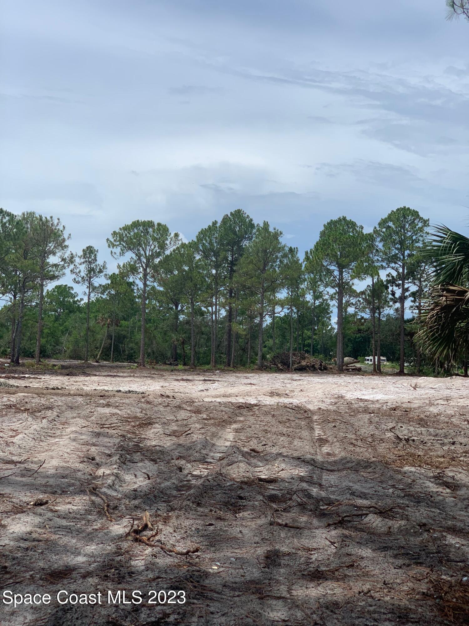 0 Unknown Street Mims, FL 32754 - Photo 4 of 10 a view of dirt field with trees in background