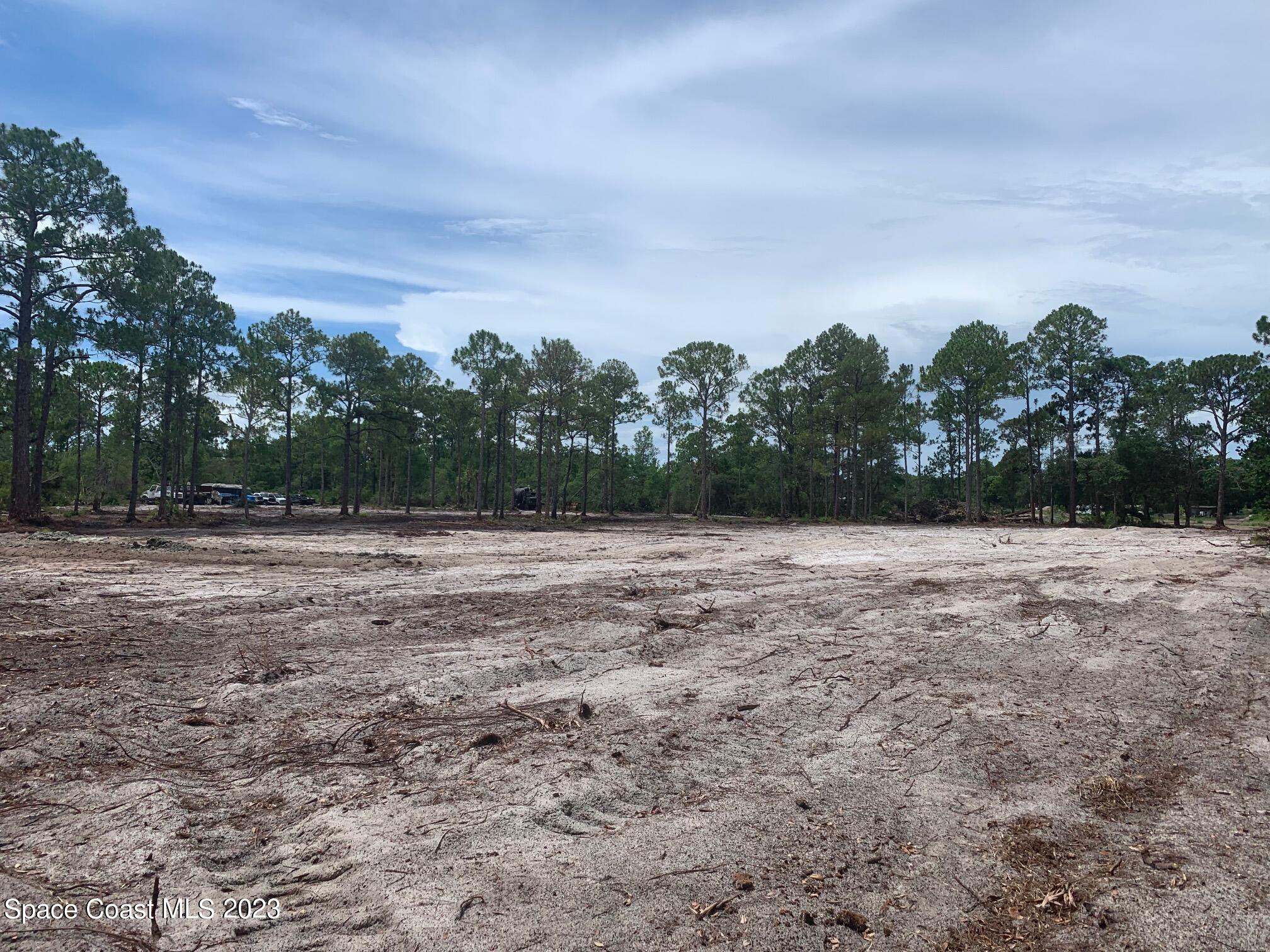 0 Unknown Street Mims, FL 32754 - Photo 6 of 10 a backyard of a house with lots of green space
