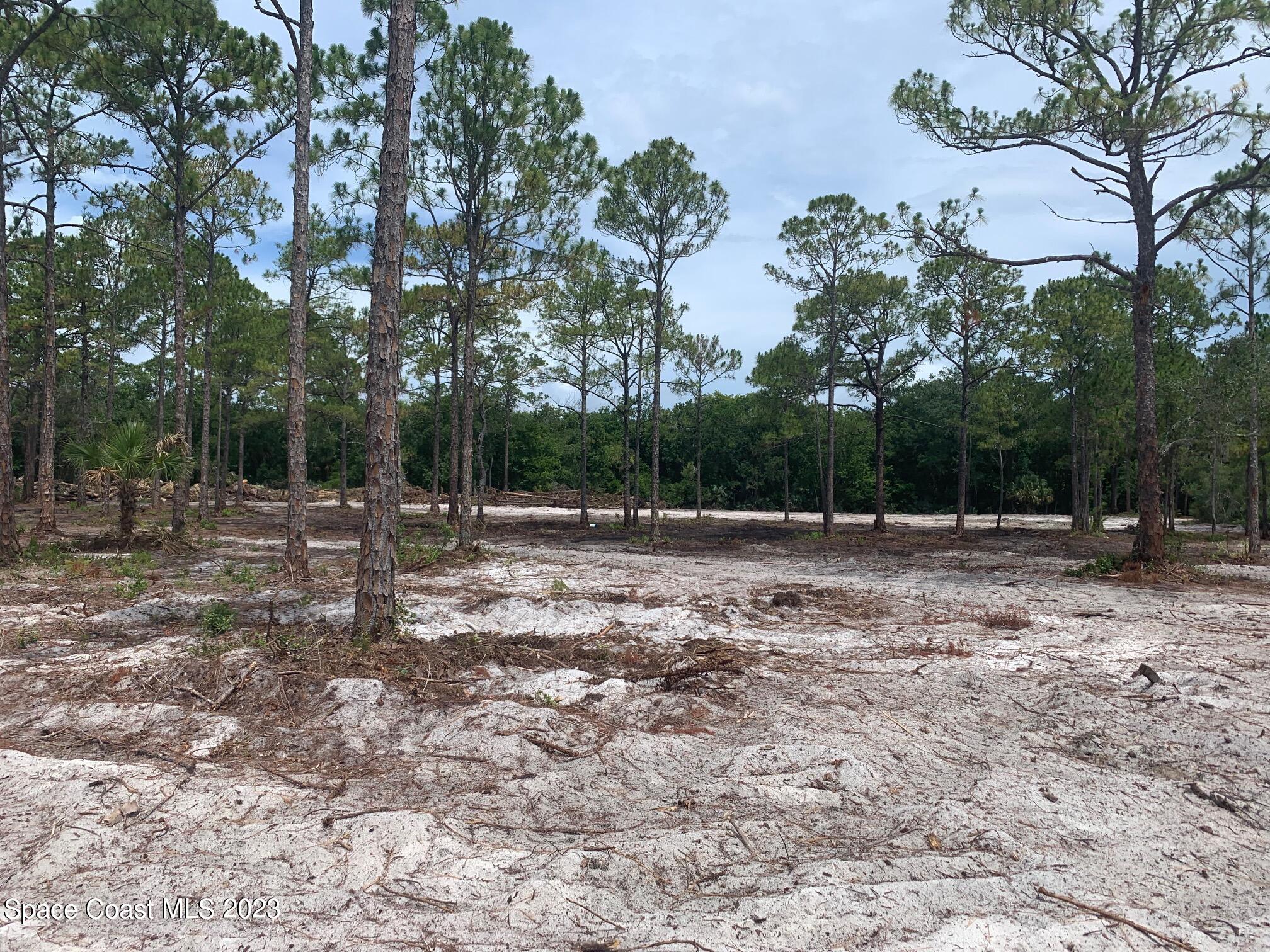 0 Unknown Street Mims, FL 32754 - Photo 8 of 10 a view of a backyard with green space