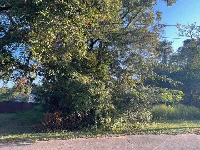 $29,500 | 1061 East Sloss Avenue, Unit LOT 1061, DeFuniak Springs, FL 32433