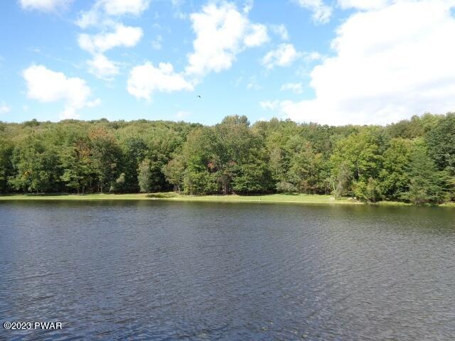 110 Bruin Road Lake Ariel, PA 18436 - Photo 41 of 48