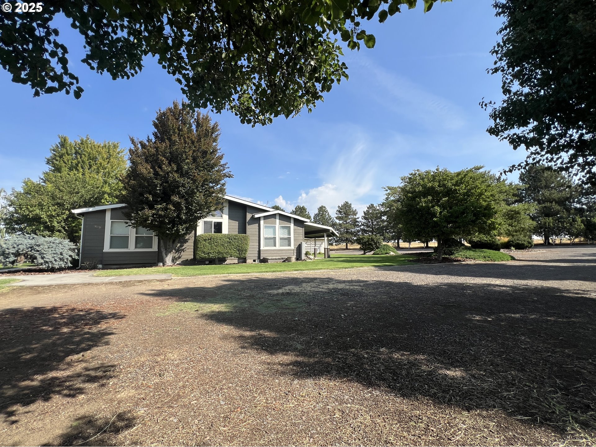 76707 Highway 207 Echo, OR 97826 - Photo 3 of 25 a front view of a house with a yard and trees