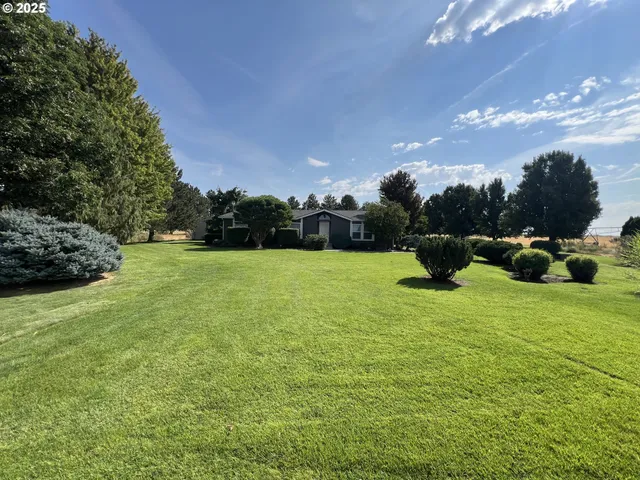 a view of backyard with swimming pool