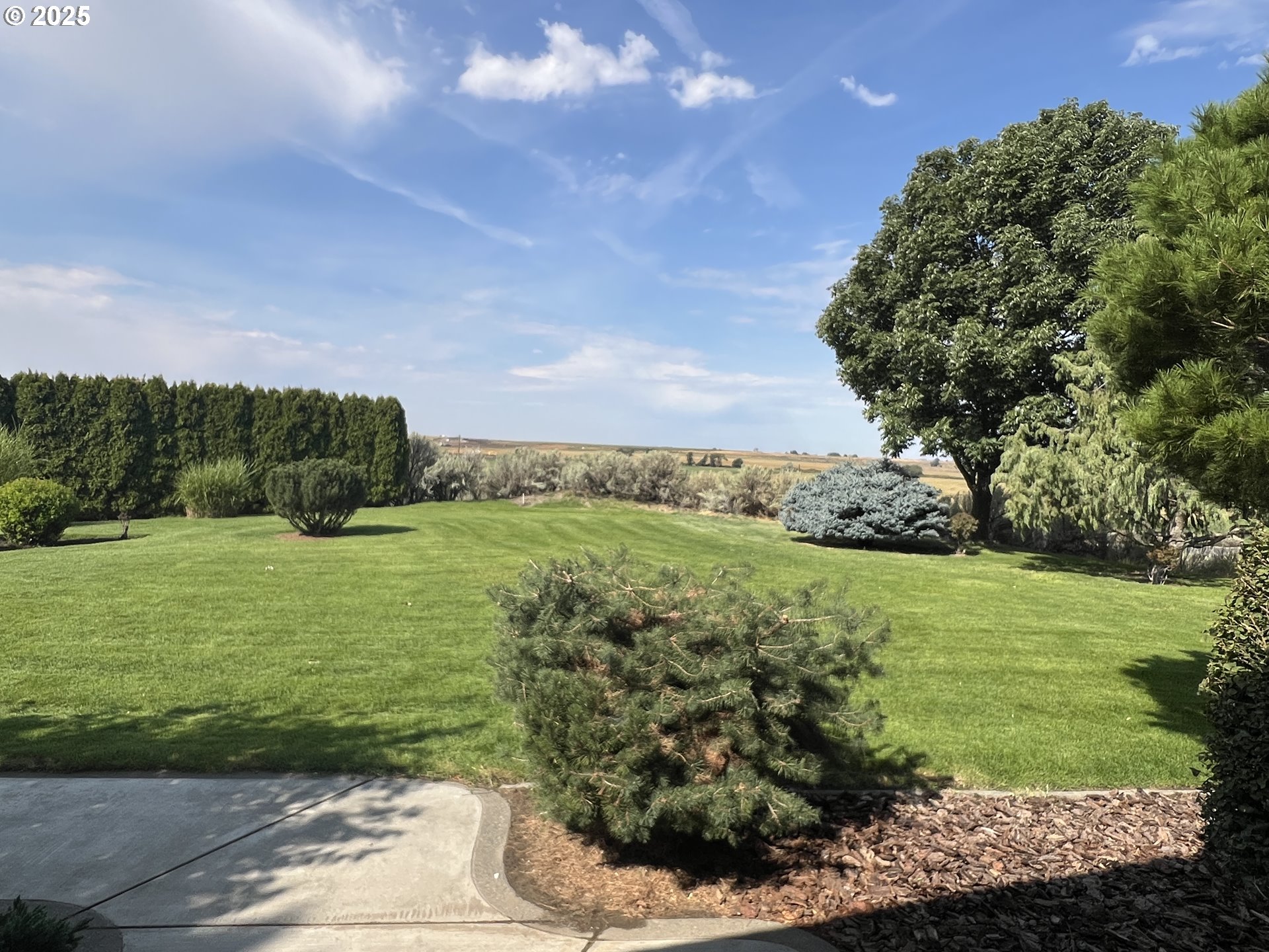 76707 Highway 207 Echo, OR 97826 - Photo 5 of 25 a view of a garden with an outdoor space