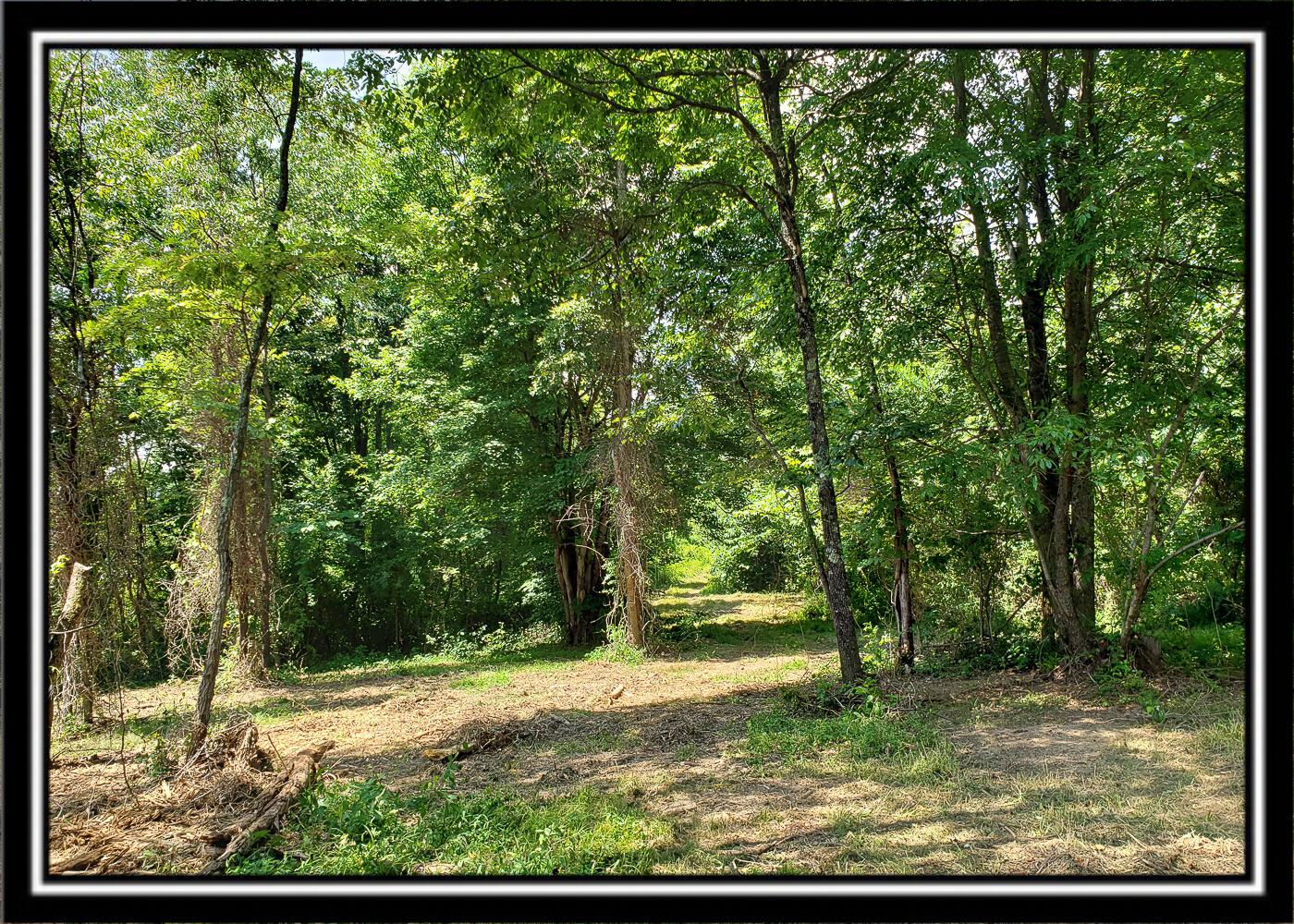0 Bethel Road, Unit TRACT 4 Patriot, OH 45658 - Photo 27 of 35 CT-27