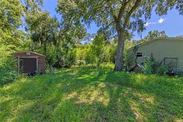 a green field with lots of trees
