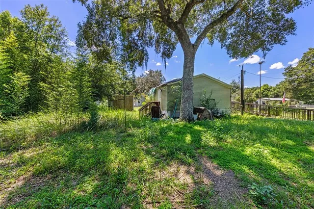 a view of a backyard with potted plants and large tree
