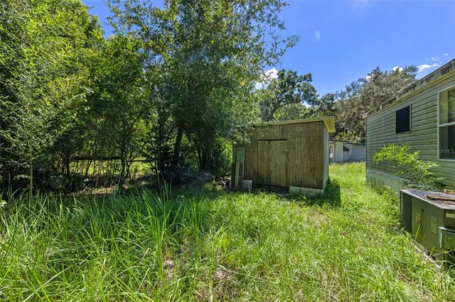 a view of a backyard with plants and large tree