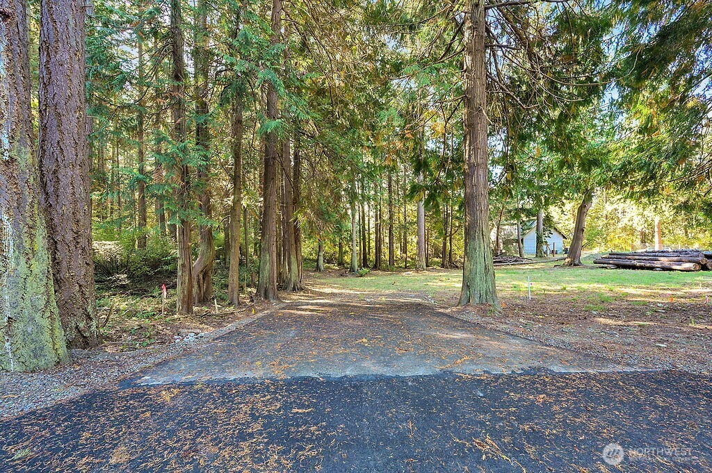 a view of a tree in the middle of a yard