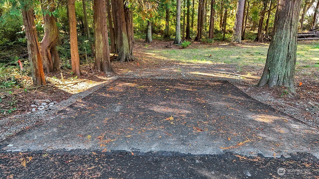 4 T Street Port Townsend, WA 98368 - Photo 2 of 7 a view of a yard with large trees