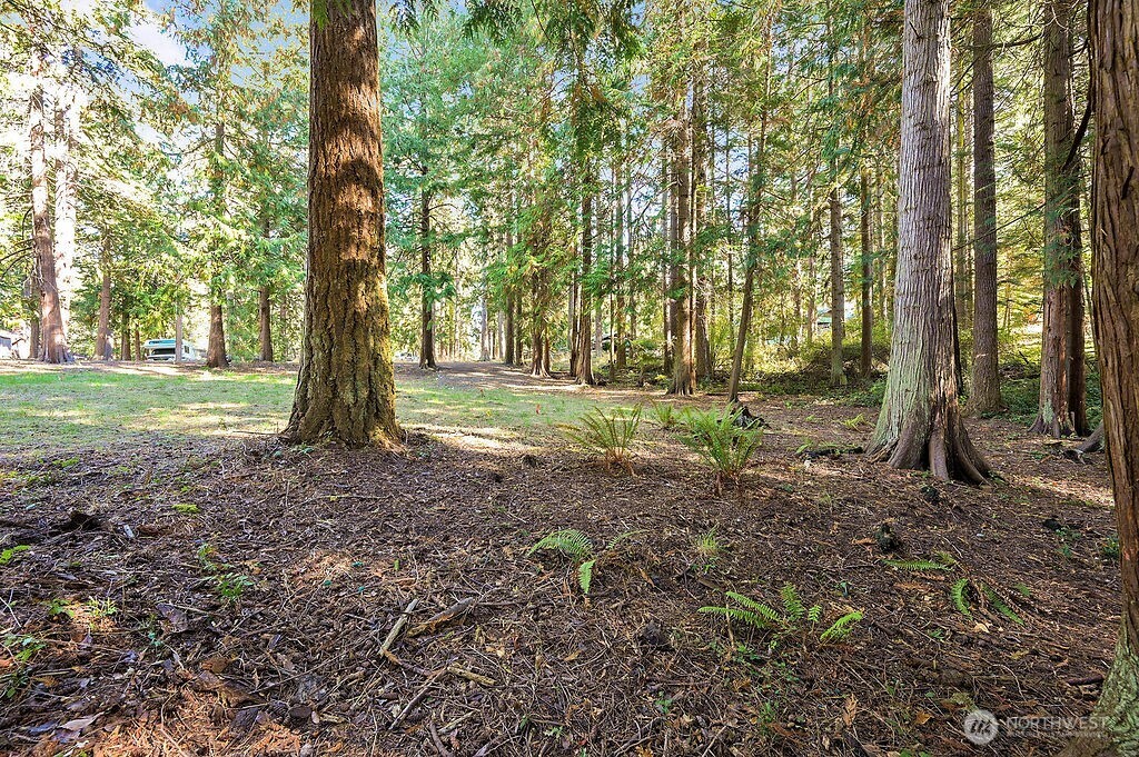 4 T Street Port Townsend, WA 98368 - Photo 4 of 7 a view of outdoor space with trees