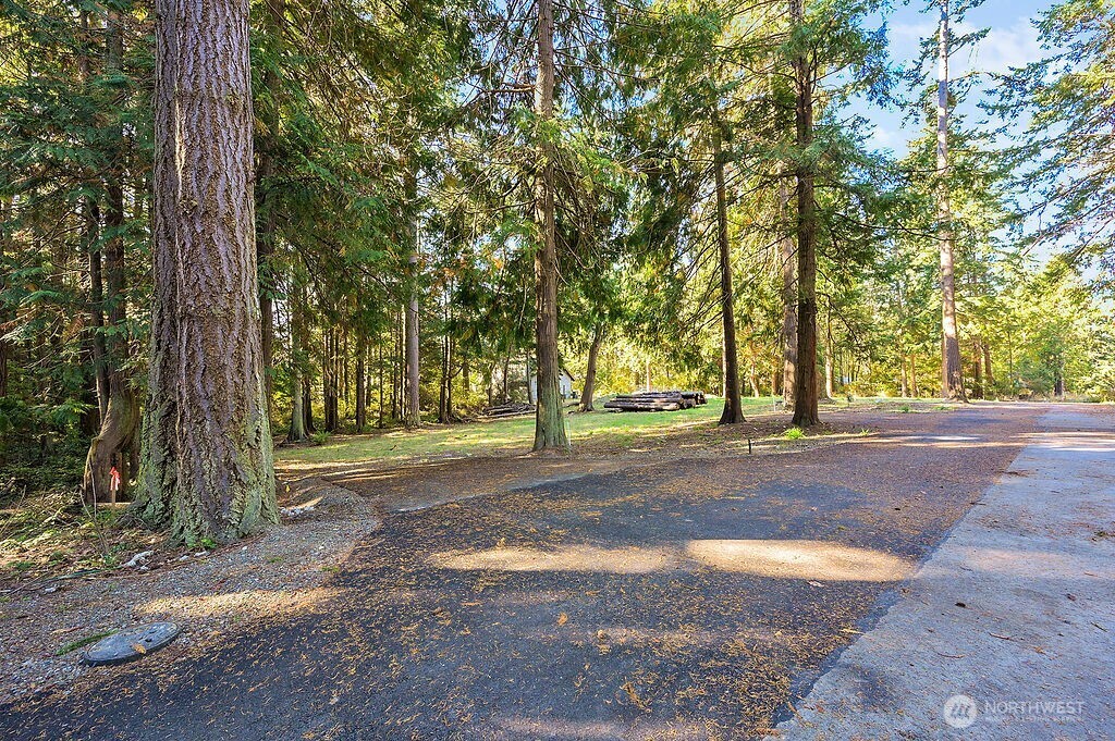 4 T Street Port Townsend, WA 98368 - Photo 6 of 7 a view of a yard with large trees