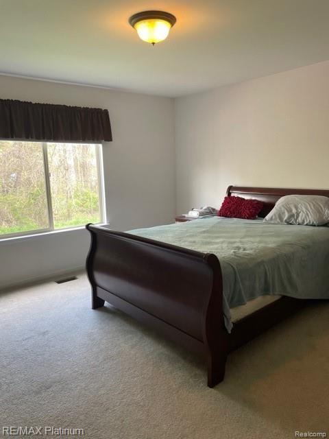 4654 Summer Ridge Drive Howell, MI 48843 - Photo 9 of 11