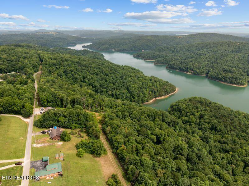 976 Livingston Boatdock Road Allons, TN 38541 - Photo 11 of 21 gedwill use 19