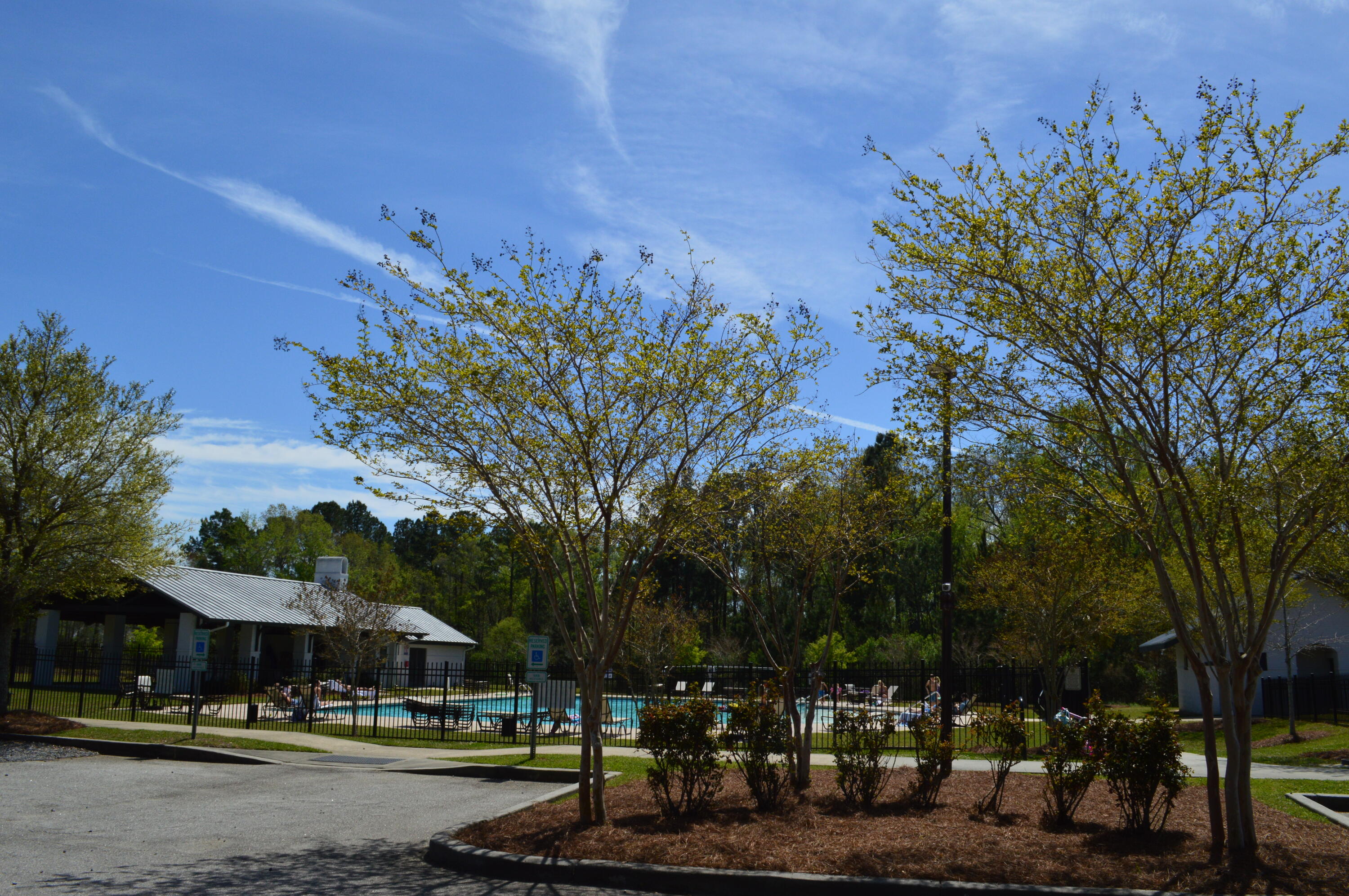 109 Nolin Road Moncks Corner, SC 29461 - Photo 44 of 46 DSC_0149