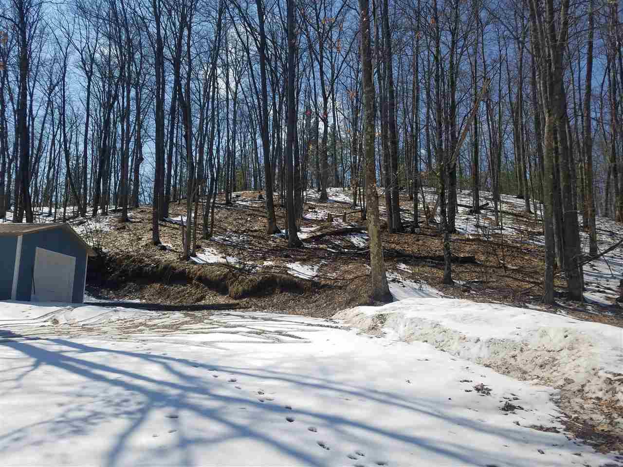 20620 Pole Road Brethren, MI 49619 - Photo 4 of 34 1844909-3.JPG