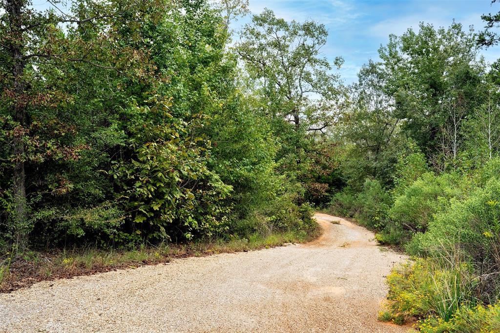 498 County Rd 498  