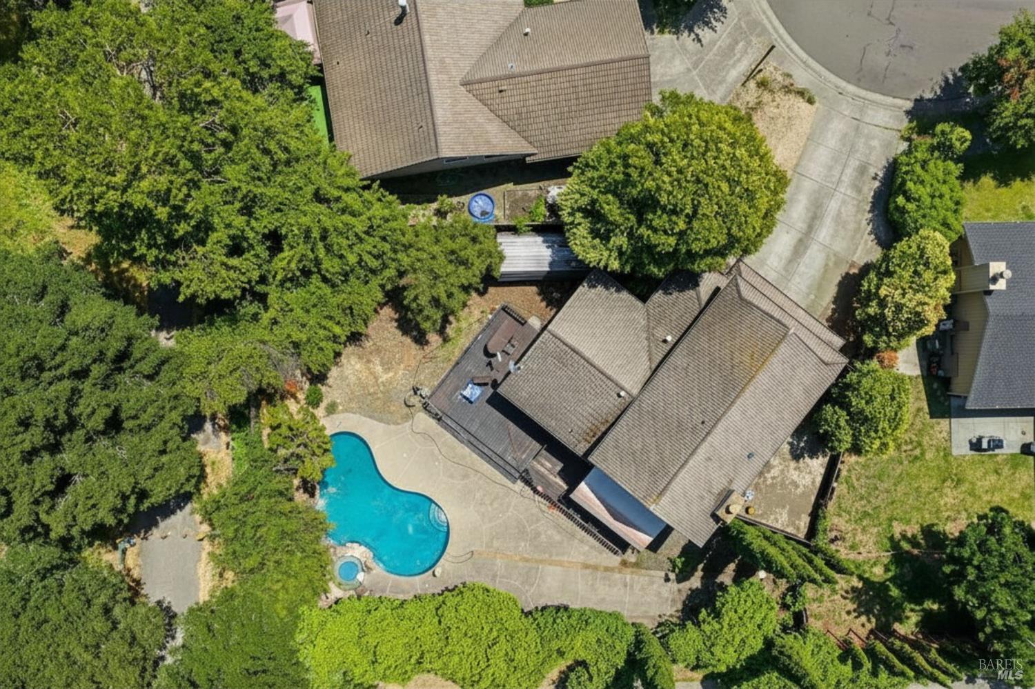 715 Placer Court Santa Rosa, CA 95401 - Photo 1 of 37 a view of a flower in the garden