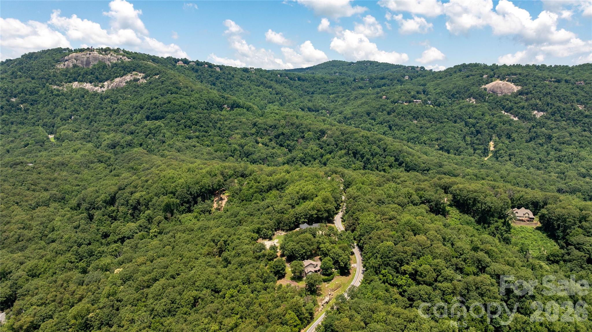 Lot 22 Plumley Summit Road, Unit 22 Landrum, SC 29356 - Photo 12 of 27