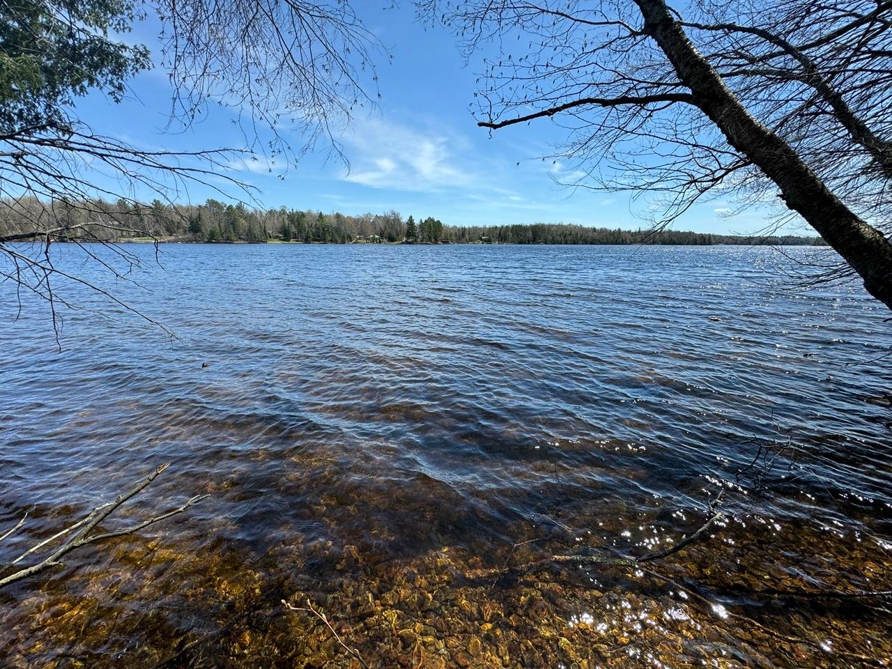 Lot 1 Black Forest Road Presque Isle, WI 54557 - Photo 8 of 18 Gallery Image 8