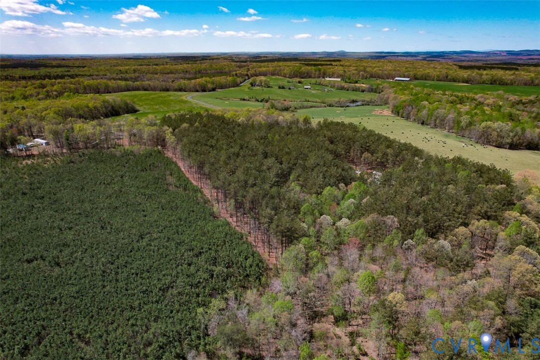 116.32-acres Gilliam Mill Road Dillwyn, VA 23936 - Photo 11 of 50