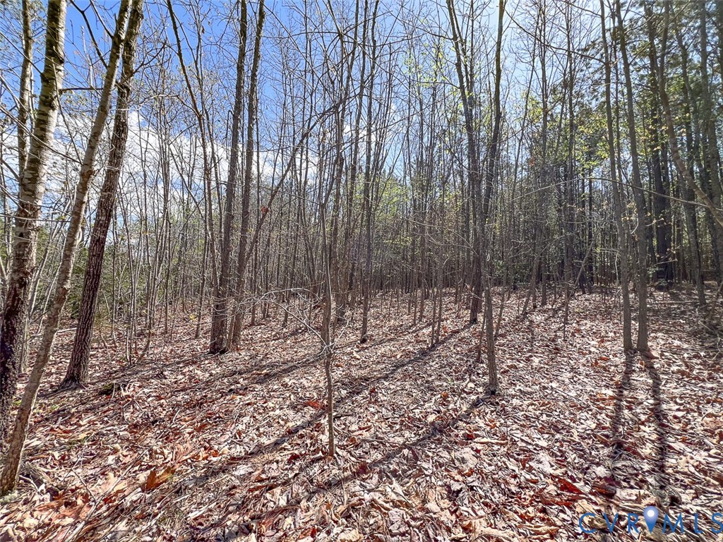 116.32-acres Gilliam Mill Road Dillwyn, VA 23936 - Photo 12 of 50