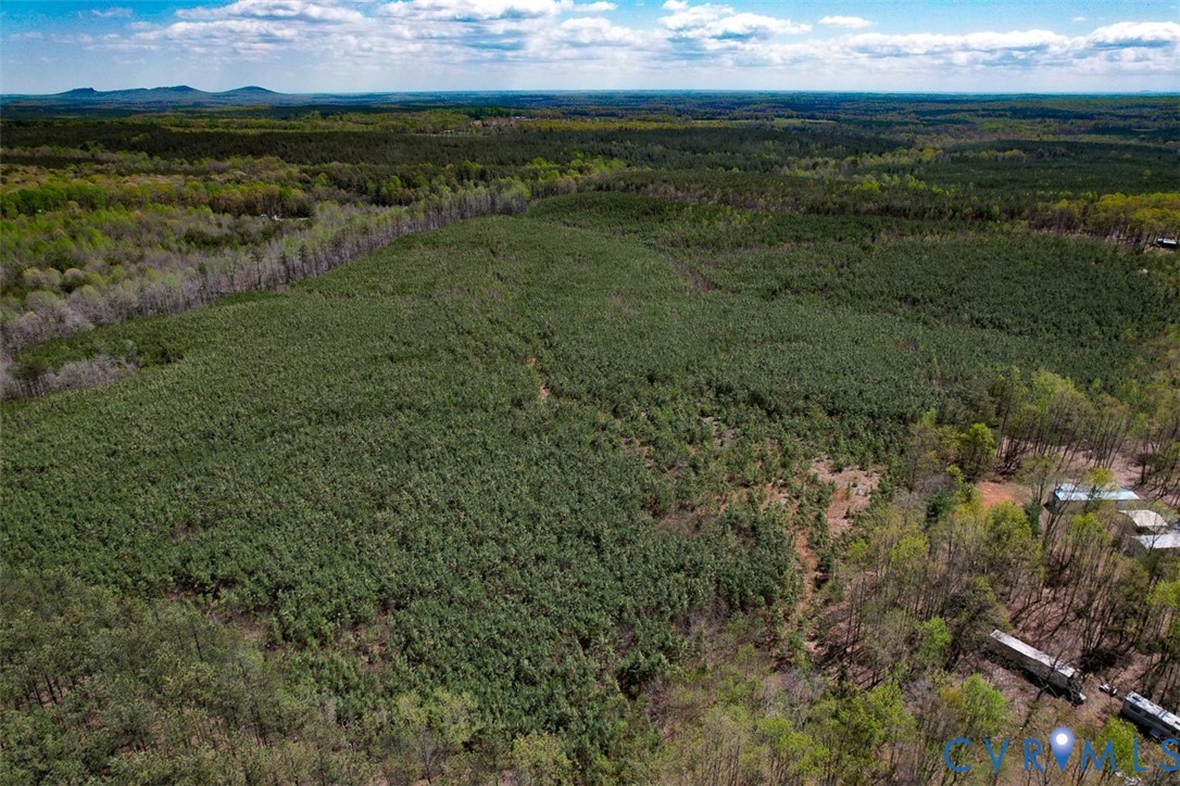 116.32-acres Gilliam Mill Road Dillwyn, VA 23936 - Photo 20 of 50