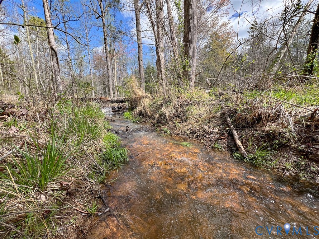 116.32-acres Gilliam Mill Road Dillwyn, VA 23936 - Photo 2 of 50